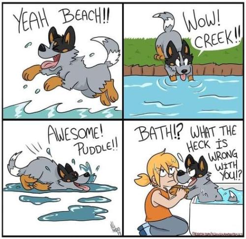 275364727_4696476317127608_3854968382986710387_n