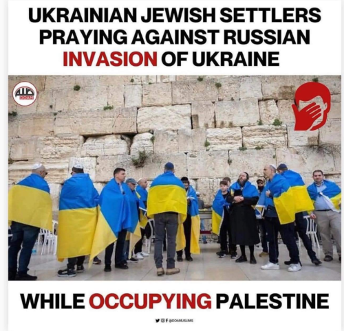 Screenshot_2022-03-10-22-58-50_kindlephoto-10161408845