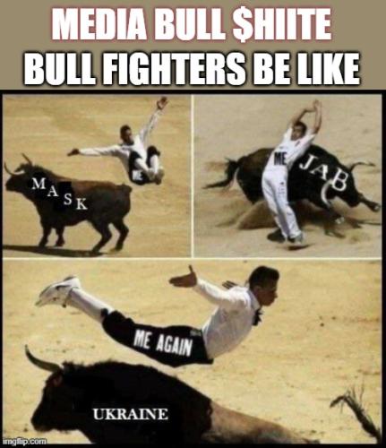 Bull Fighters be like 2
