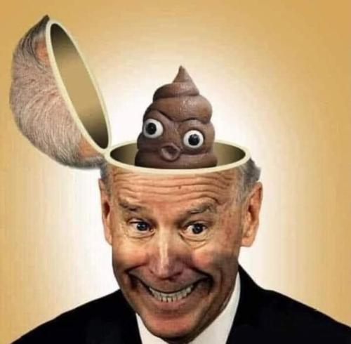 biden shit brains