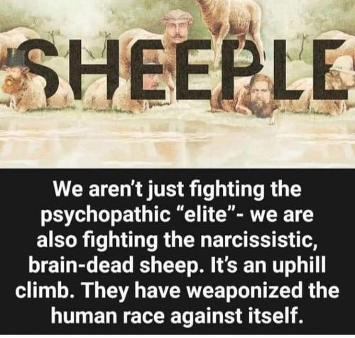 275249011_754647319275696_7933940793925786246_n