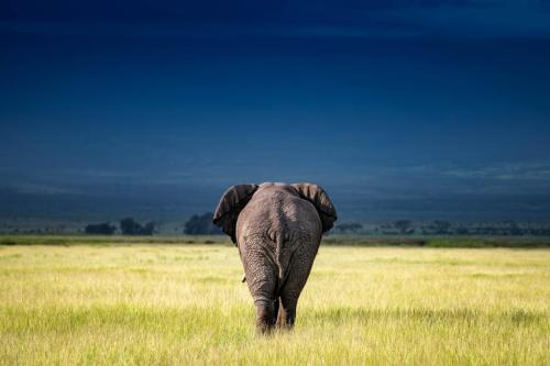 275486958_485752102999713_2349387885489087894_n