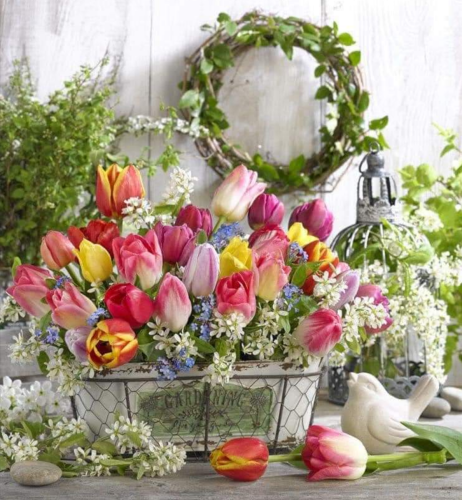 Screenshot_2022-03-27-13-02-45_kindlephoto-82426255