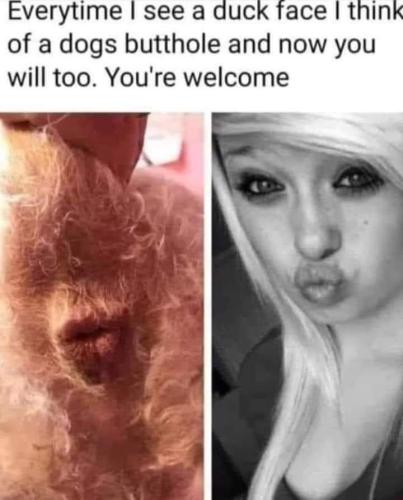 FB_IMG_1646955085693