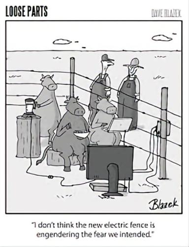 277172523_976772732975031_6015119598896672182_n