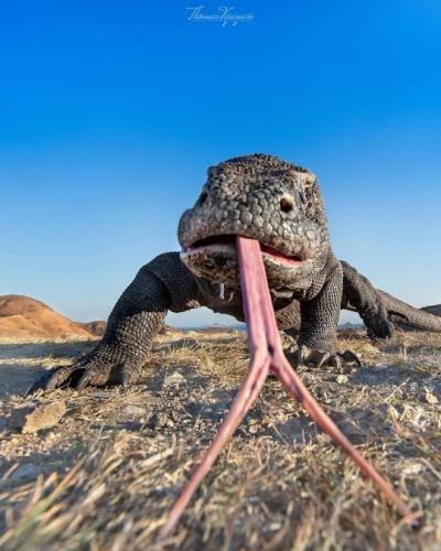 tumblr_8c93aa1315642a6d3f54c641bd1f4cf0_25aac3ae_540