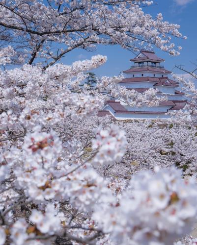 277167646_507501097758768_8204813325182380049_n