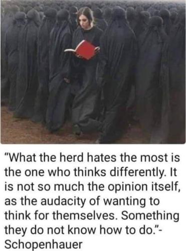 Screenshot_2022-03-10-17-19-25-48_a23b203fd3aafc6dcb84e438dda678b6