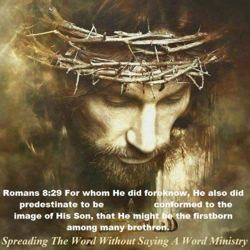 53340292_2214388008643318_4604411043907633152_n