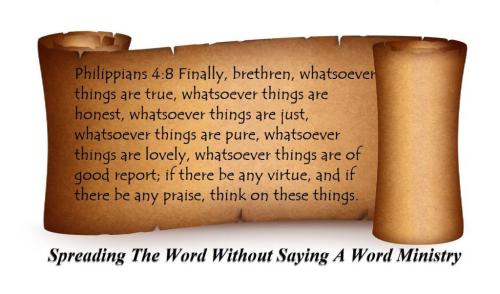 54433068_2233233383425447_4434103169575813120_n