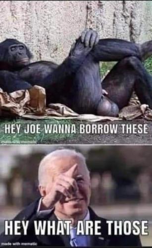 FB_IMG_1646114691331