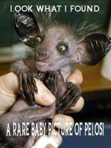 FB_IMG_1647327536957