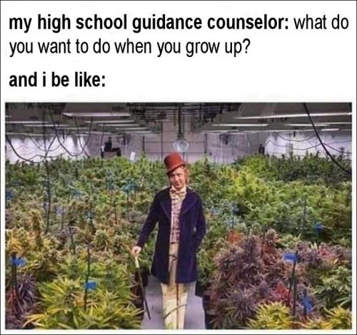 what do you want to do when you grow up