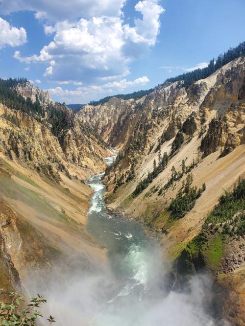 b77d663c-6739-4b8b-a6eb-215b3f91d4a0