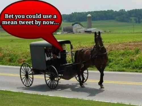 FB_IMG_1646925246964