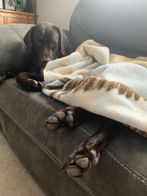 173F95CE-6974-473D-92EC-AB08B5393604