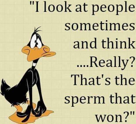 FB_IMG_1646955293718