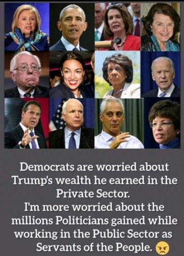 dems_and_rinos_look_in_mirror (2)