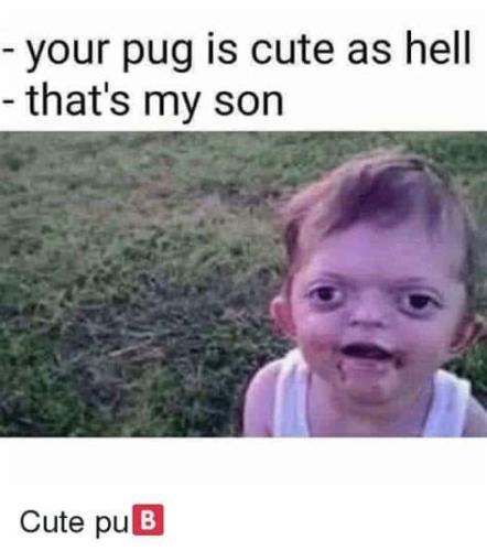 FB_IMG_1647713044886