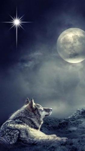 20:02:00 GMT-0500 (CDT)