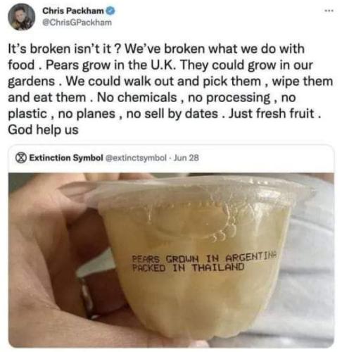pears00