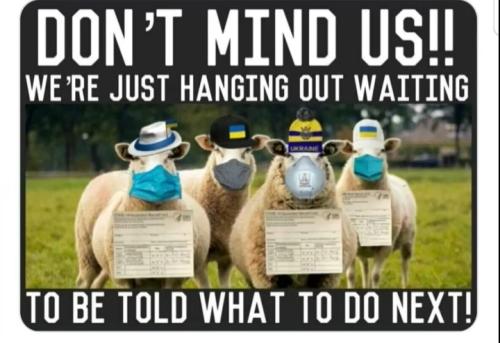 Screenshot_2022-03-08-20-10-38-22_a23b203fd3aafc6dcb84e438dda678b6