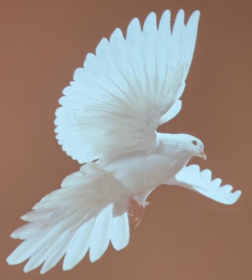 20220130_111818