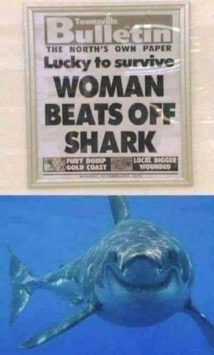 277006842_1028303108065768_8083574991940910856_n