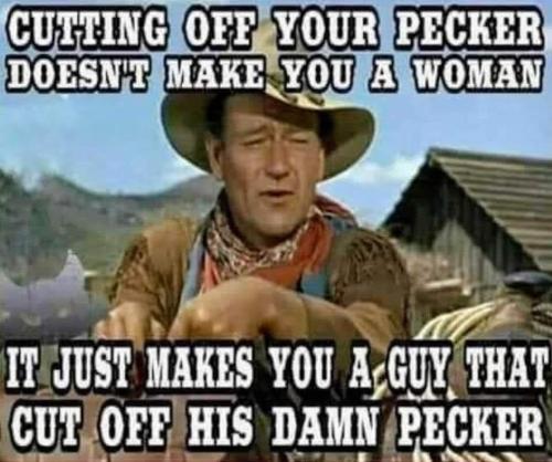 FB_IMG_1648064646501