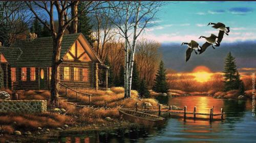 Country Home with Ducks