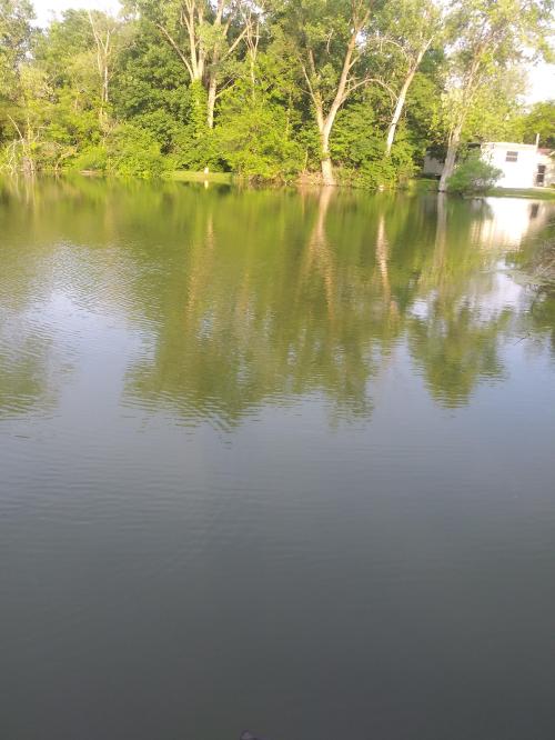 Message_1624231727091