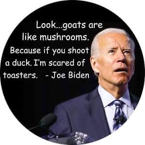 FB_IMG_1646340446535