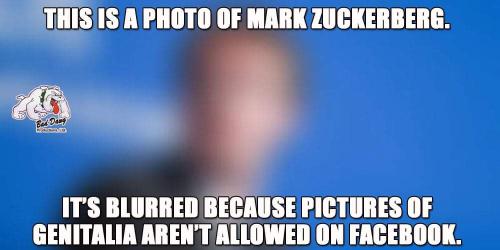 FB_IMG_1646669121599