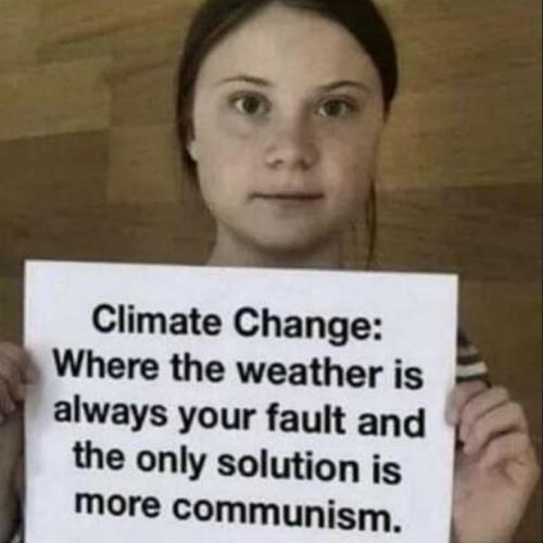 climate change41