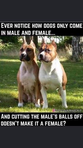 FB_IMG_1646327007364