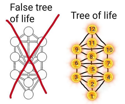 The Tree of Life appears in all over the planet