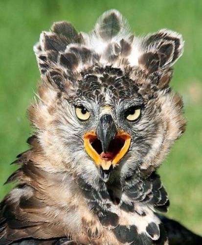 tumblr_1136d205e5f0b2a47ce539fb0ef794b8_47cbfcd8_540