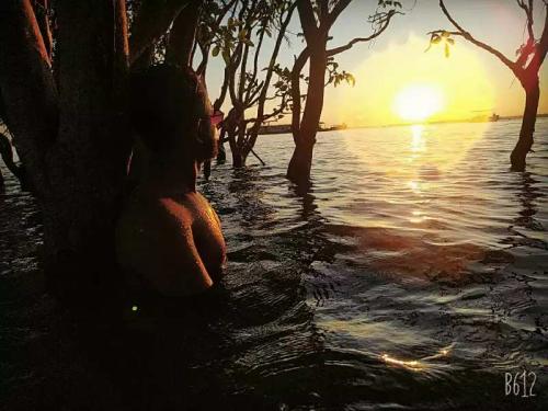 a7827ac8-bdc2-4fee-969c-af8600820b78