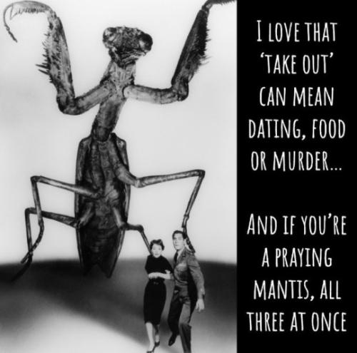 tumblr_91bf16d329d143417d1ff6be09b739fb_4836d803_540