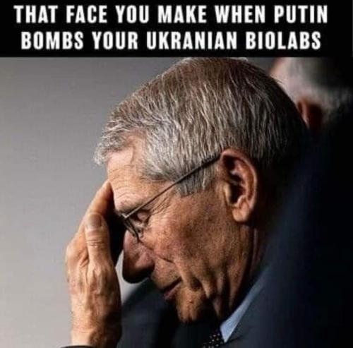 FB_IMG_1646413581842