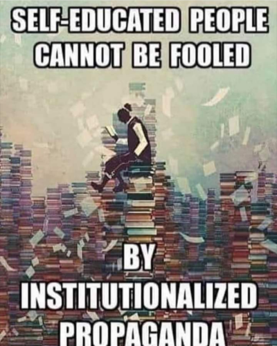 Screenshot_2022-03-28-18-13-29_kindlephoto-143201145