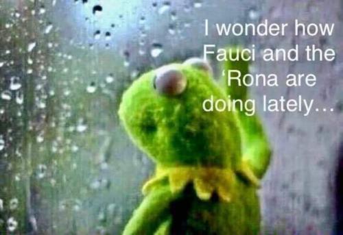 FB_IMG_1646165710981