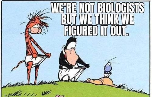 a7208bf9-8693-4f4b-aa96-0d6746bfe3a5