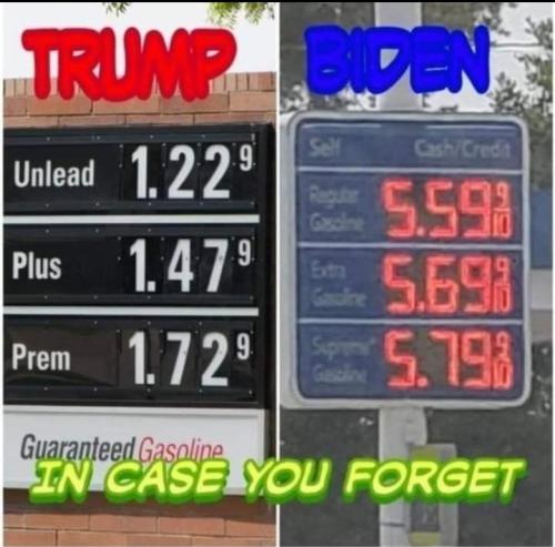 8916cb8e-31ea-4a75-93c1-4c8ca28c472b