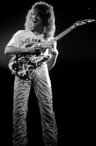 tumblr_1d0a0b44a2b392921b41b43ca25b4dbf_c6af8aaa_640