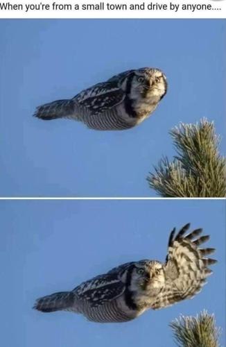 6C6DE507-FDAE-4C2B-A3B9-DF5ADF0AE4A4-17351-000012E3DB12D1D0