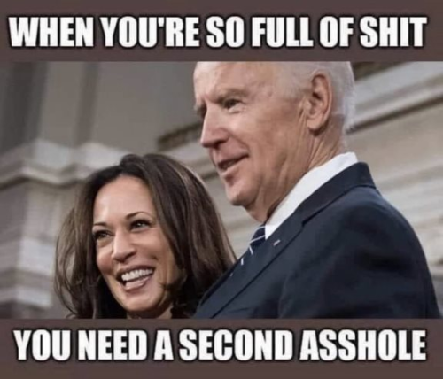 Second_asshole_biden_harris