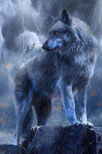 10:11:16 GMT-0500 (CDT)