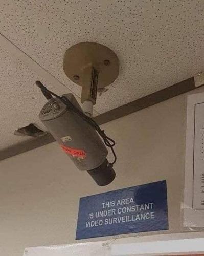 277096838_10224826739488728_1902732787250324379_n