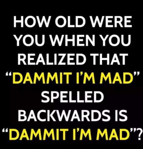 FB_IMG_1646636743218